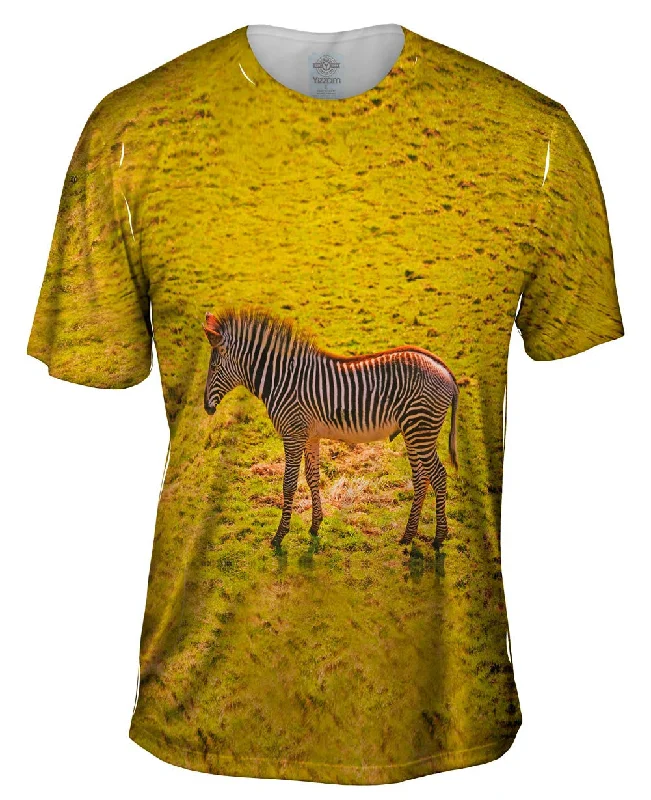 Bold Design T-Shirt-Savannah Zebra