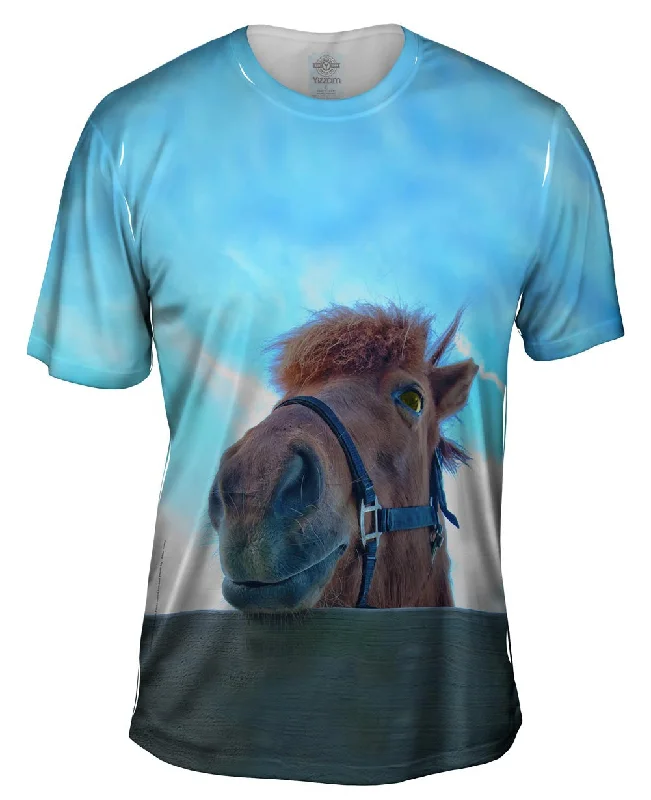 Birthday T-Shirt-Horse Fence Peeker