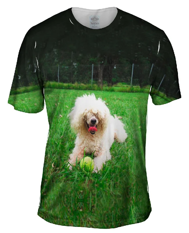 Graphic Tee Shirt-Shaggy Haired Poodle