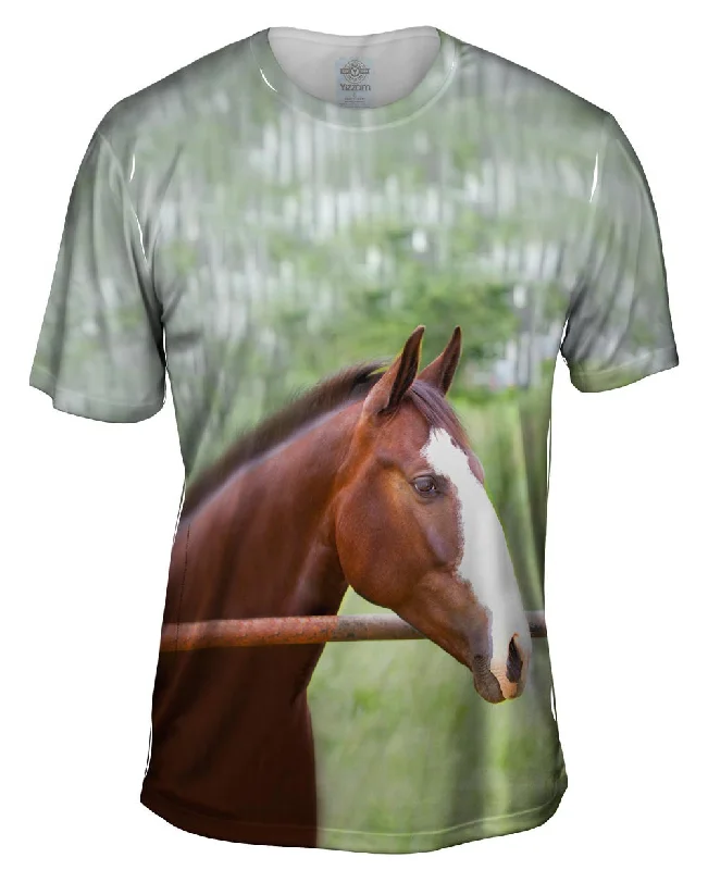 Abstract Art T-Shirt-Horse At Rest