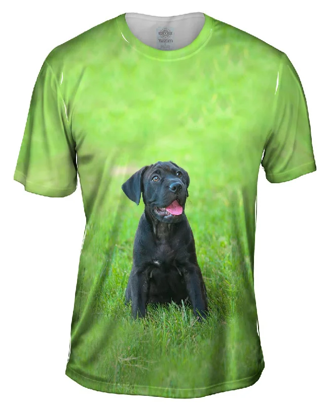 Cool Graphic T-Shirt-Giddy Black Mastiff