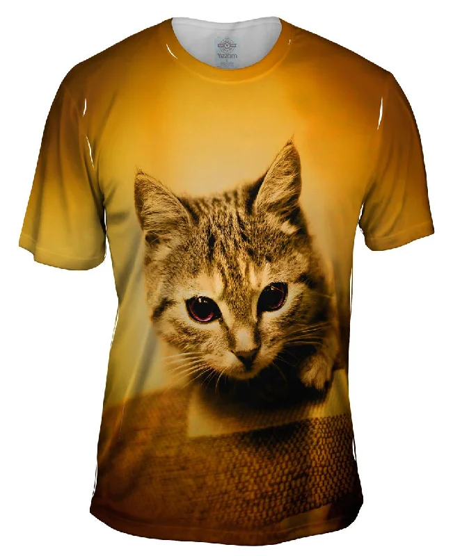 Funny Sayings T-Shirt-Racer Kitten