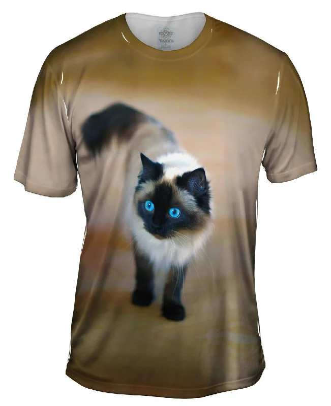 Street Art T-Shirt-Spooked Kitty Cat