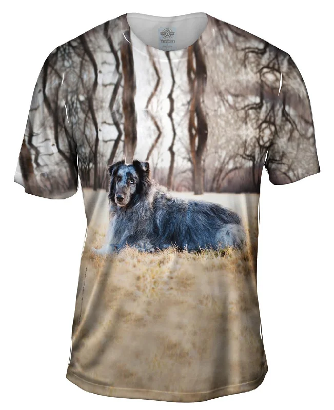 Graphic Art T-Shirt-Old Grey Sheltie