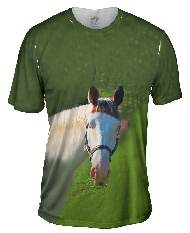 Comic Book T-Shirt-Paso Fino With Spunk