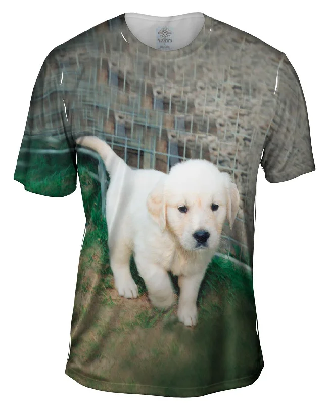 Street Art T-Shirt-Golden Lab Puppy Toro