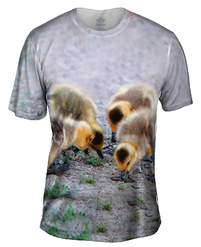 Streetwear T-Shirt-Little Goslings Feeding