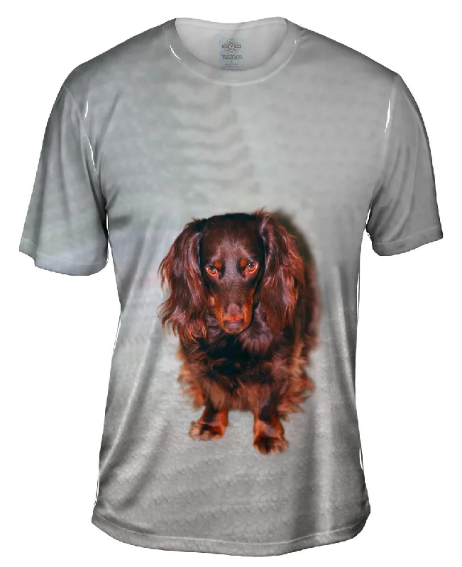 Vintage Music T-Shirt-Shy Brown Dachshund