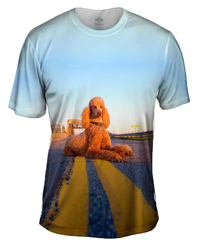 Ocean Graphic T-Shirt-Rebel Highway Poodle