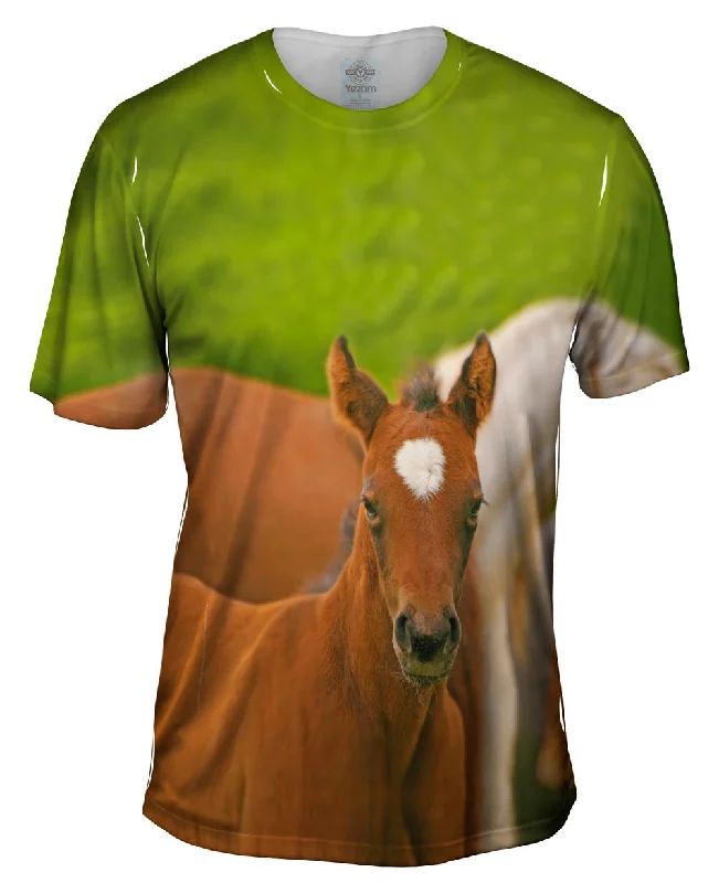 Mountain Design T-Shirt-Humble Horse