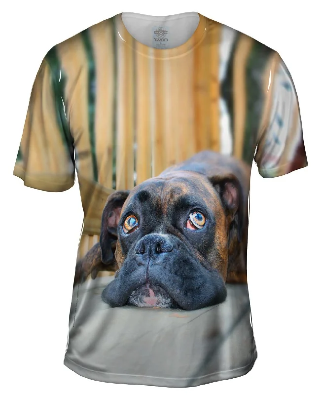 Festival T-Shirt-Resting Boxer