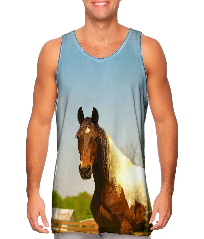 High-Performance Sleeveless-Mountainous Brown White Horse