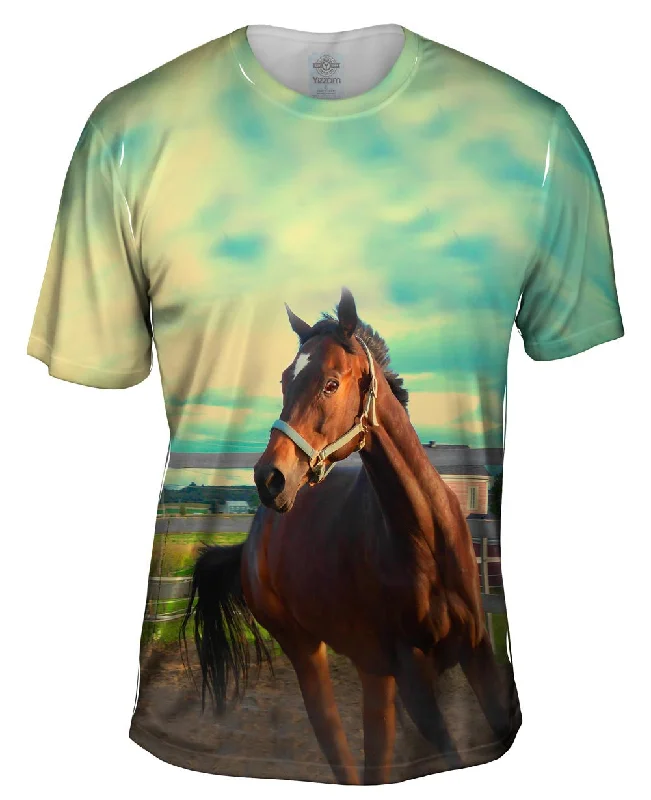 Superhero T-Shirt-Horse Out For A Run