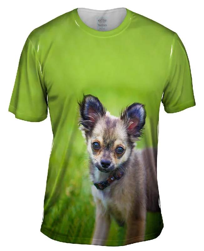 Casual Wear T-Shirt-Longhaired Chihuahua