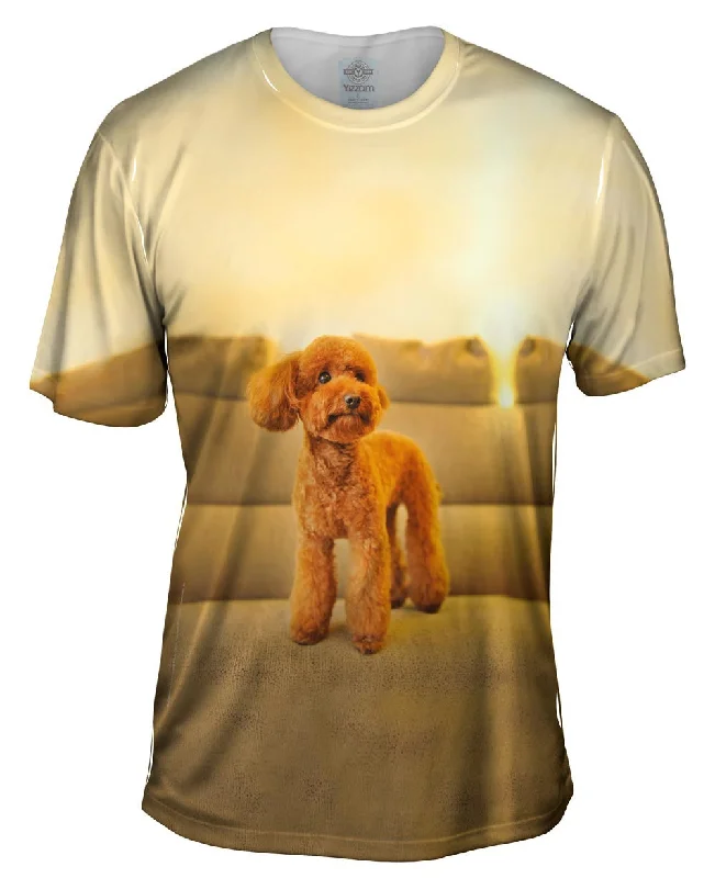 Adventure Seeker T-Shirt-Poodle Couch King