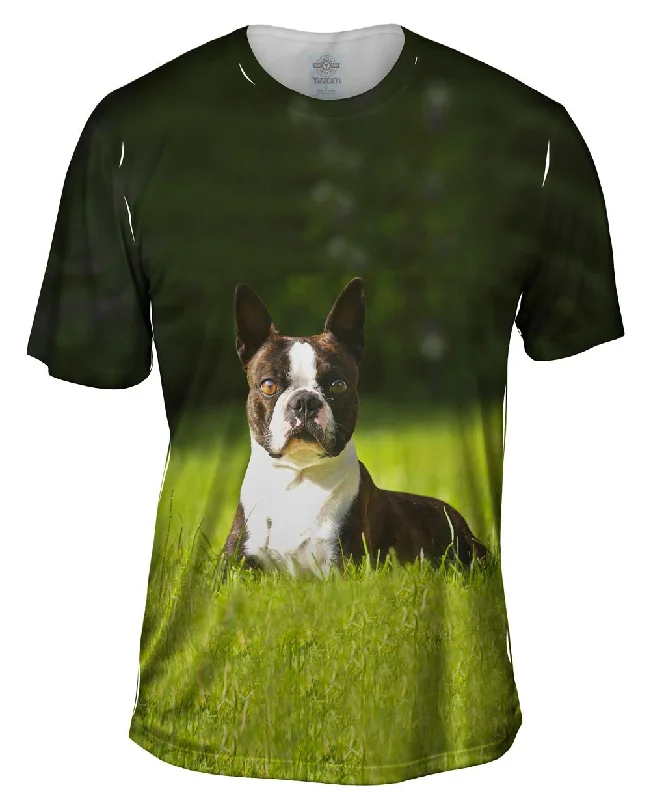 Animal Print T-Shirt-Giddy Boston Terrier