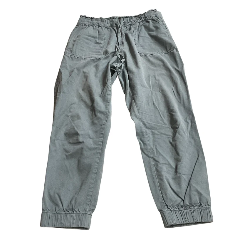 Outdoor Hiking Pants-Pants Cargo & Utility By Loft In Blue, Size: M