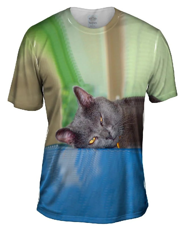 Sports Fan T-Shirt-Grey Cat Napping