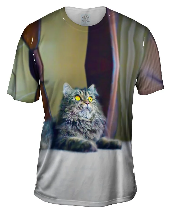 Art Print T-Shirt-Relaxing Kitty Cat