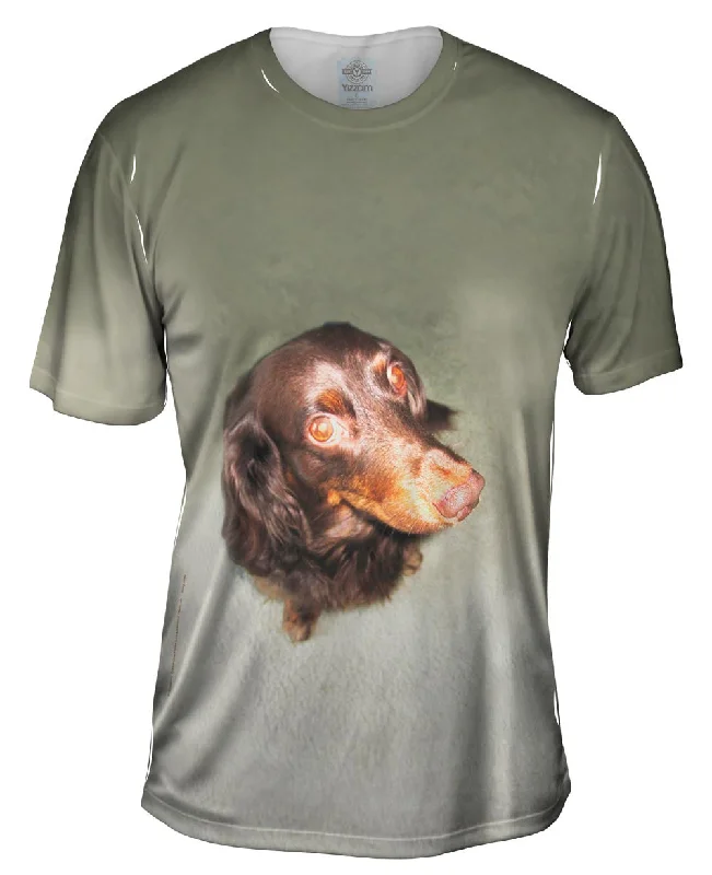 Inspirational T-Shirt-Long Haired Dachshund Glare