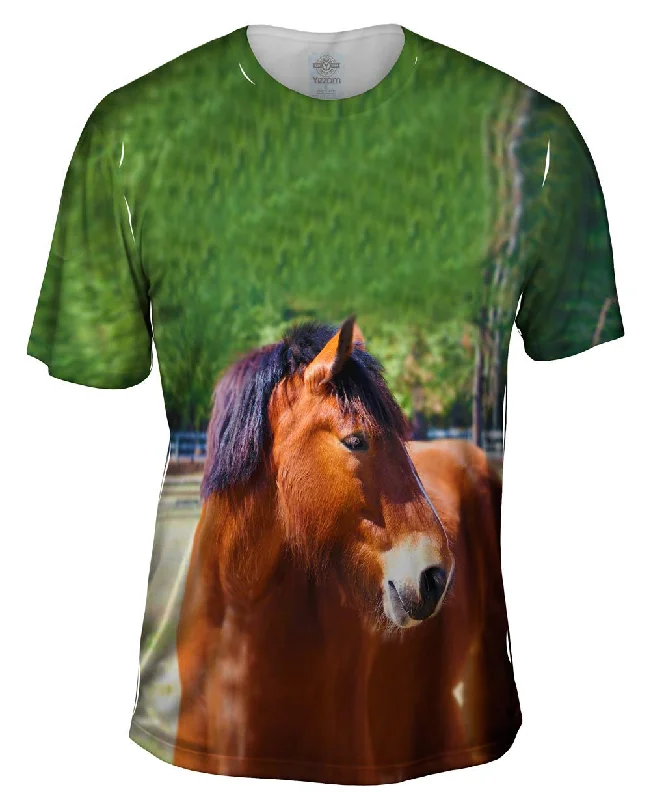 Simple Plain T-Shirt-Longing  Horse