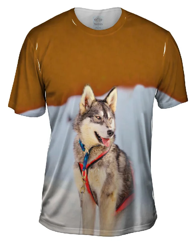 Cool Prints T-Shirt-Sledding Husky