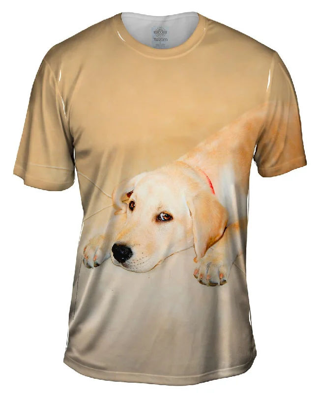 Inspirational Graphic T-Shirt-Golden Lab Cooling Off