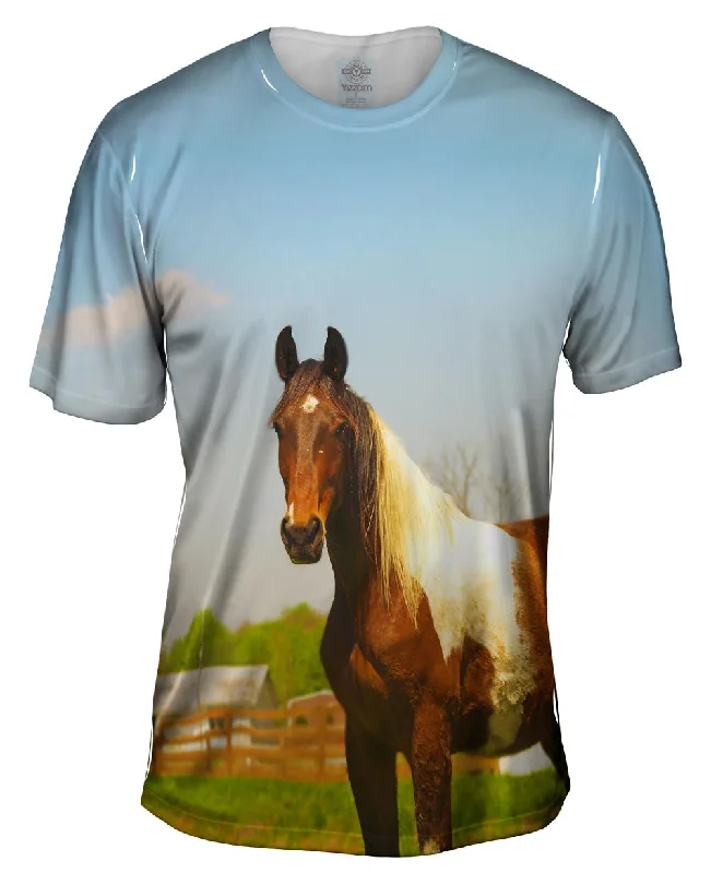 Street Art T-Shirt-Mountainous Brown White Horse