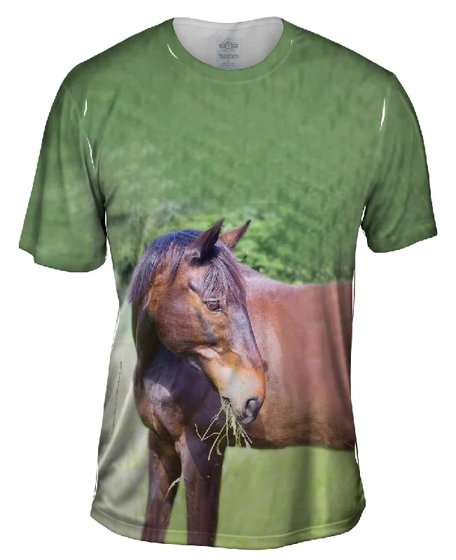 Funny Sayings T-Shirt-I Love Hay Horse