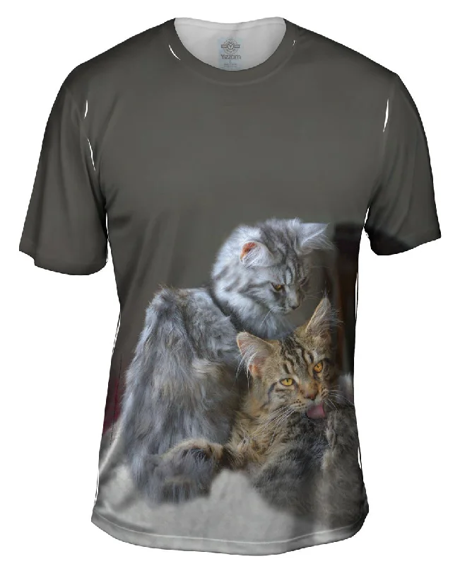 Bold Design T-Shirt-Kitten Friends Lounging