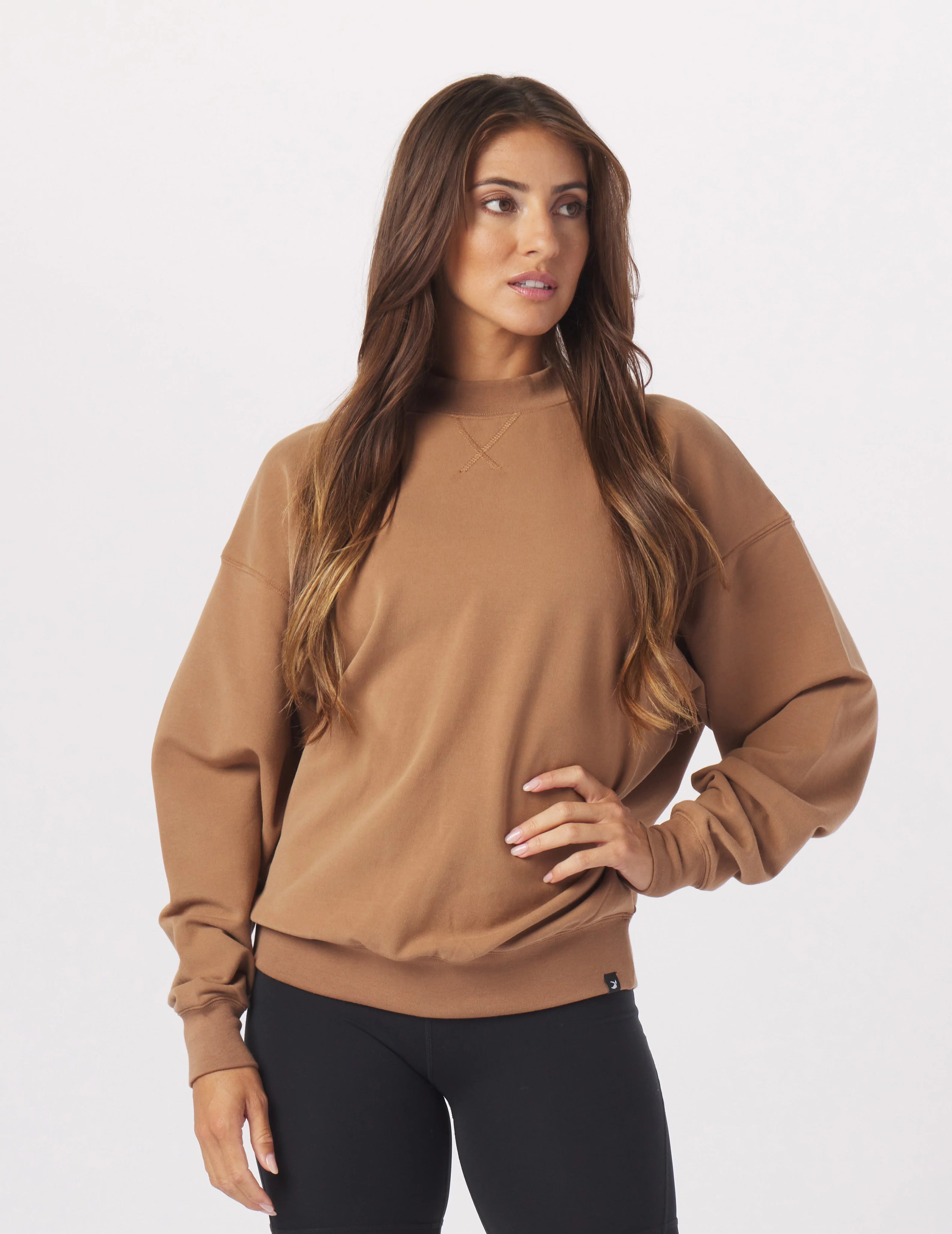 Soft Knit Long Sleeve-Vintage Oversized Crew: Almond